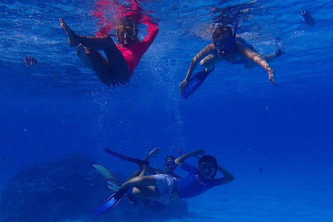 Bora Bora: Luxury Private Half Day Snorkeling Tour - Gear, Towels, and the Ladder Step: The Practical Stuff That Matters
