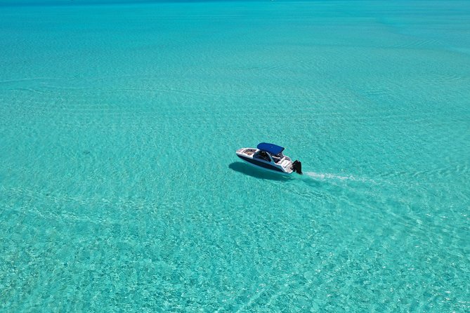 Bora Bora: Luxury Private Half Day Snorkeling Tour - Price and Value: $780 Per Group for a Private Lagoon Experience