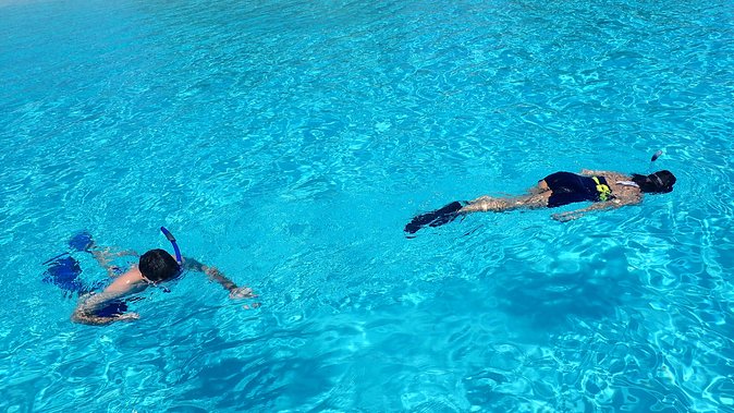 Bora Bora: Luxury Private Half Day Snorkeling Tour - Who This Bora Bora Tour Fits Best (And Who Might Want Another Option)
