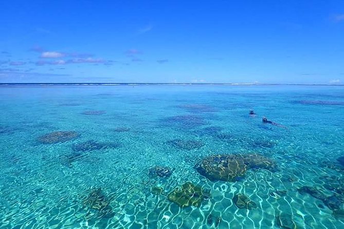 Bora Bora: Luxury Private Half Day Snorkeling Tour - Your 3.5-Hour Lagoon Itinerary: What Each Part Is Really For