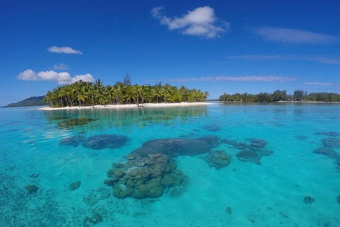Bora Bora Private Lagoon Tours - Your own Bora Bora lagoon bubble, with a real captain at the helm