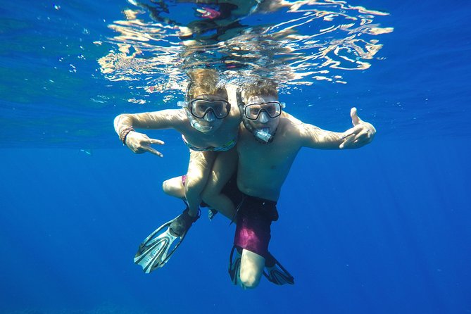 Bora Bora Private Lagoon Tours - Pickup, mobile tickets, and the kind of stress reduction you’ll feel