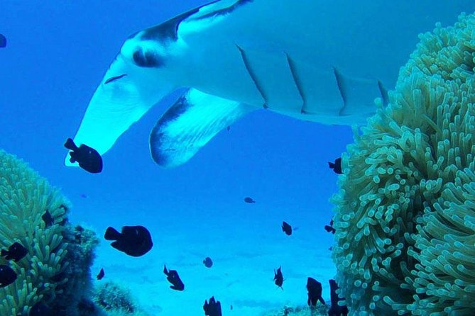 Bora Bora Private Lagoon Tours - Weather and timing: the one variable you can’t control