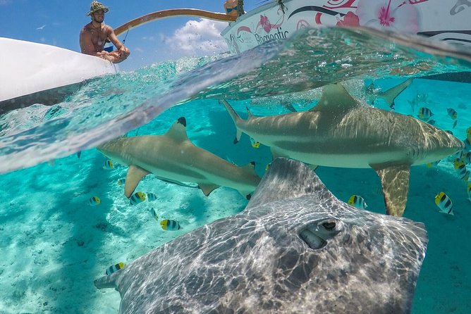 Bora Bora Snorkel Cruise by Polynesian Outrigger Canoe with BBQ Island Lunch - Key things I’d circle before you book