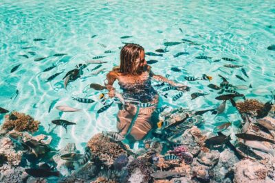 Bora Bora Snorkel Cruise by Polynesian Outrigger Canoe with BBQ Island Lunch - What Your Day Looks Like (Start Time, Pickup, and the 6-Hour Flow)