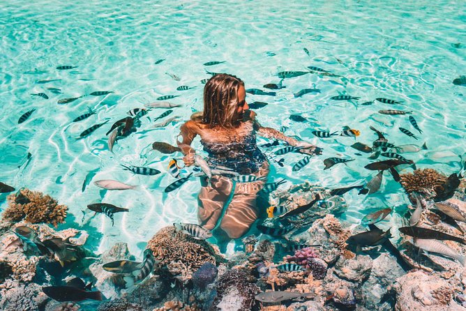 Bora Bora Snorkel Cruise by Polynesian Outrigger Canoe with BBQ Island Lunch - What Your Day Looks Like (Start Time, Pickup, and the 6-Hour Flow)