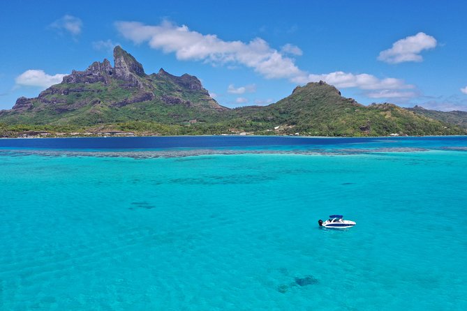 Bora Bora Underwater Scooter - What you’ll see underwater: corals, fish, and up-close moments
