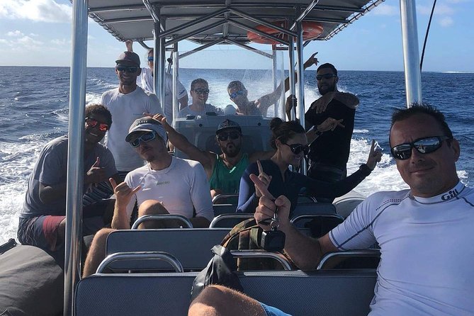 Bora Bora Whale Watching - Pickup, pontoon access, and what to expect on arrival