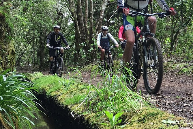 Botanical Trails of Madeira. Mountain biking Trail Experience - Poiso warm-up at about 1400 m: easy uphill, quick coaching