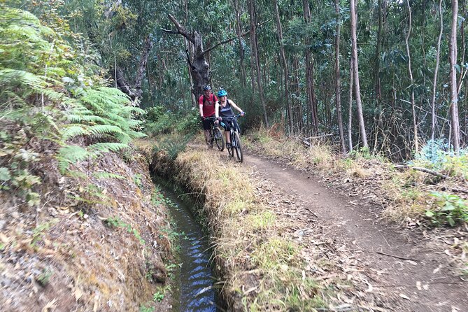 Botanical Trails of Madeira. Mountain biking Trail Experience - The final descent: easy control, ocean views that keep returning