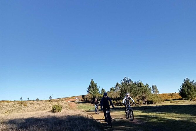 Botanical Trails of Madeira. Mountain biking Trail Experience - Should you book Botanical Trails of Madeira?