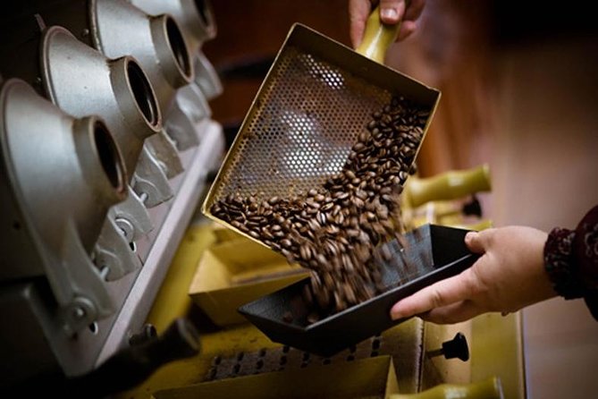 Britt Coffee Tour from San José - Key Things You’ll Notice on This Britt Coffee Tour