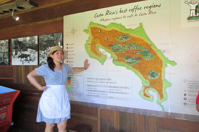Britt Coffee Tour from San José - The Toaster Plant: How Roasting Changes the Bean