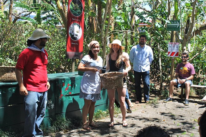 Britt Coffee Tour from San José - Transportation and Timing: The One Logistics Piece to Keep an Eye On