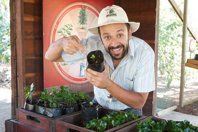 Britt Coffee Tour from San José - Seedlings, Gardens, and the First Real Step in Coffee Growing