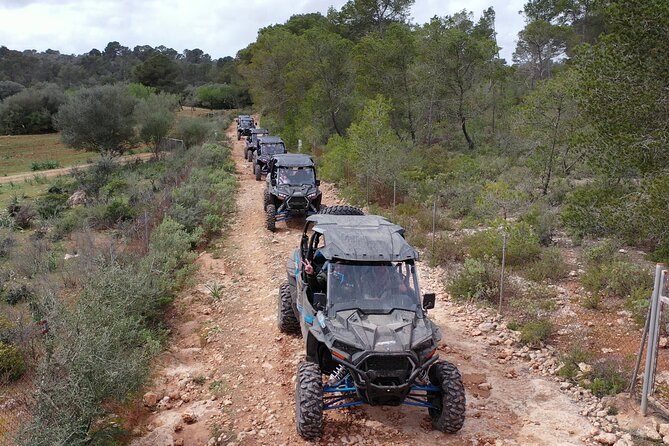 Buggy 2-seater and 4-seater Off-On Road Tour in Mallorca - Price and value: what $289.64 per group really buys you