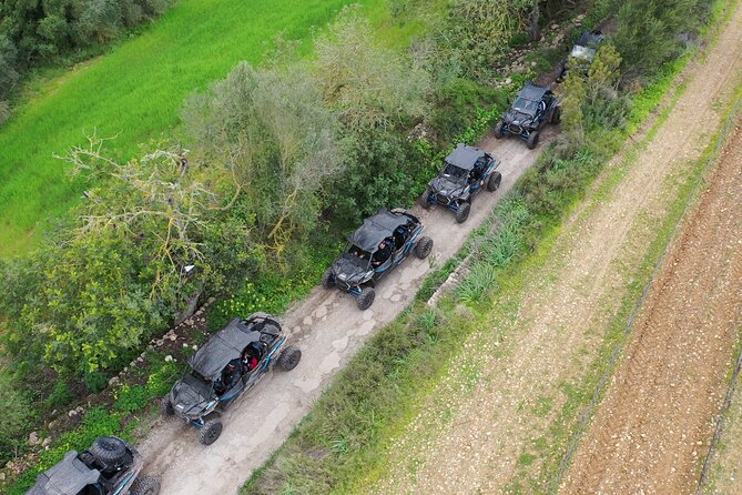 Buggy 2-seater and 4-seater Off-On Road Tour in Mallorca - Final verdict: should you book the Buggy Off-On Road Tour?