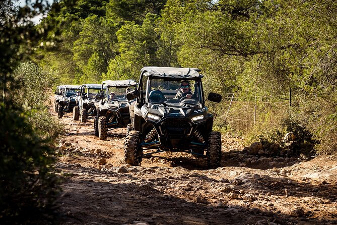 Buggy 2-seater and 4-seater Off-On Road Tour in Mallorca - FAQ