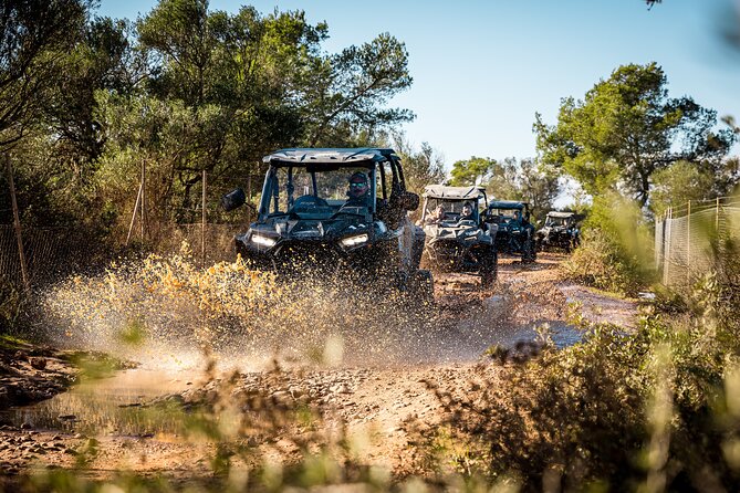 Buggy 2-seater and 4-seater Off-On Road Tour in Mallorca - Driving comfort: automatic buggies, license rules, and safety reality