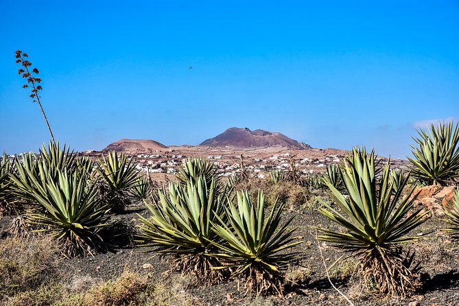 Buggy Fuerteventura Off-Road Excursions - Buggies, Safety, and the Dust-Proof Packing List