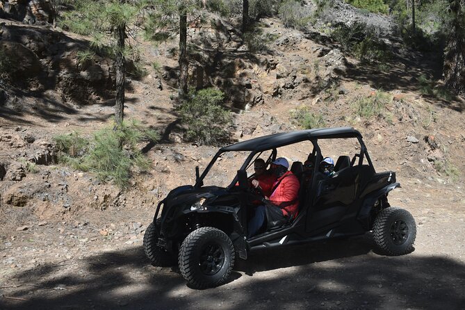 Buggy tour to Teide in Tenerife - Driving the buggy: fun factor and the license reality check