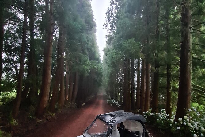 BUGGY TOUR - West / Center of the island (off-road) - Getting to Pico da Vigia and keeping transfers easy