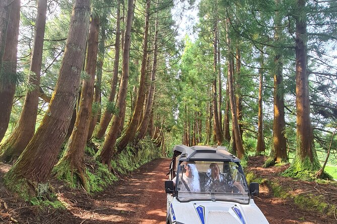 BUGGY TOUR - West / Center of the island (off-road) - Stop breaks that make the trip feel more than just driving