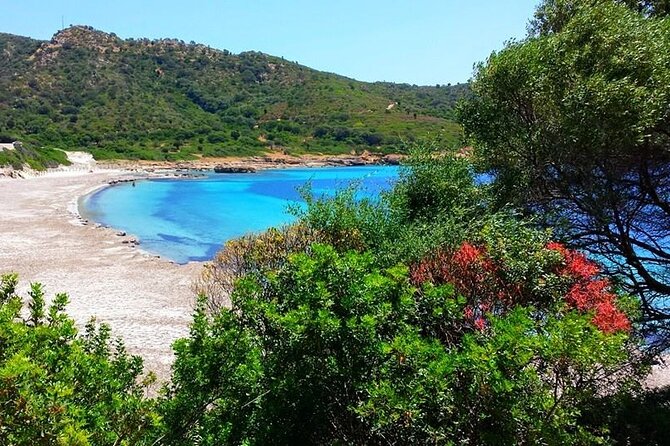 Cagliari: Quad Adventure Experience from Chia - Cala Cipolla: the swim window is real (but limited)