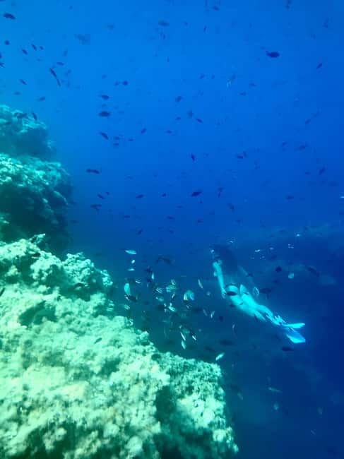 Cala Codolar: Guided Sea Kayaking and Snorkeling Tour - FAQ