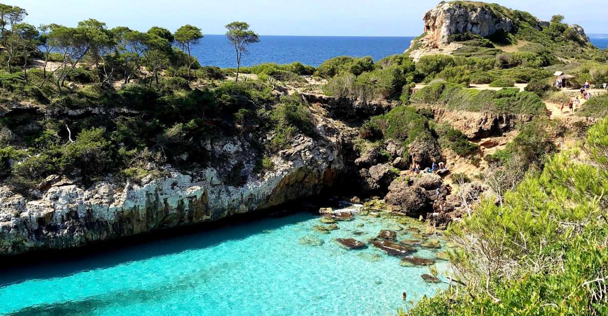 Cala des Moro/S'Almunia: Snorkel and SUP Tour - Key Takeaways Before You Go