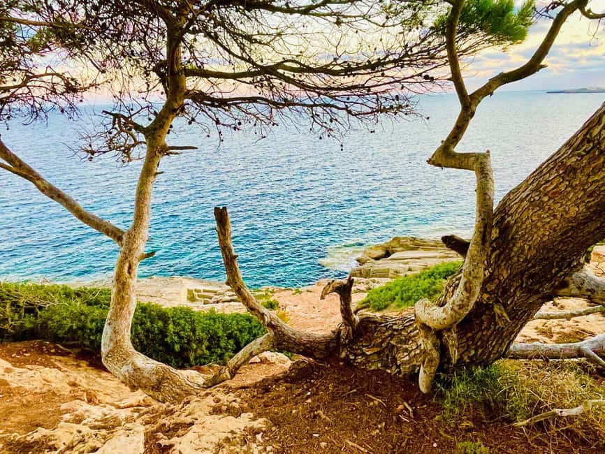 Cala Millor: real treasure hunt in natural reserve, fun walk - Pirate Clues Near Punta de n’Amer: The Vibe