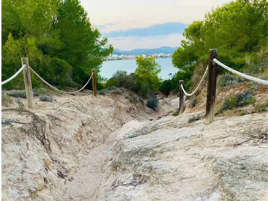 Cala Millor: real treasure hunt in natural reserve, fun walk - Walking the 4 Kilometers: Forest, Dunes, and Rocky Edges