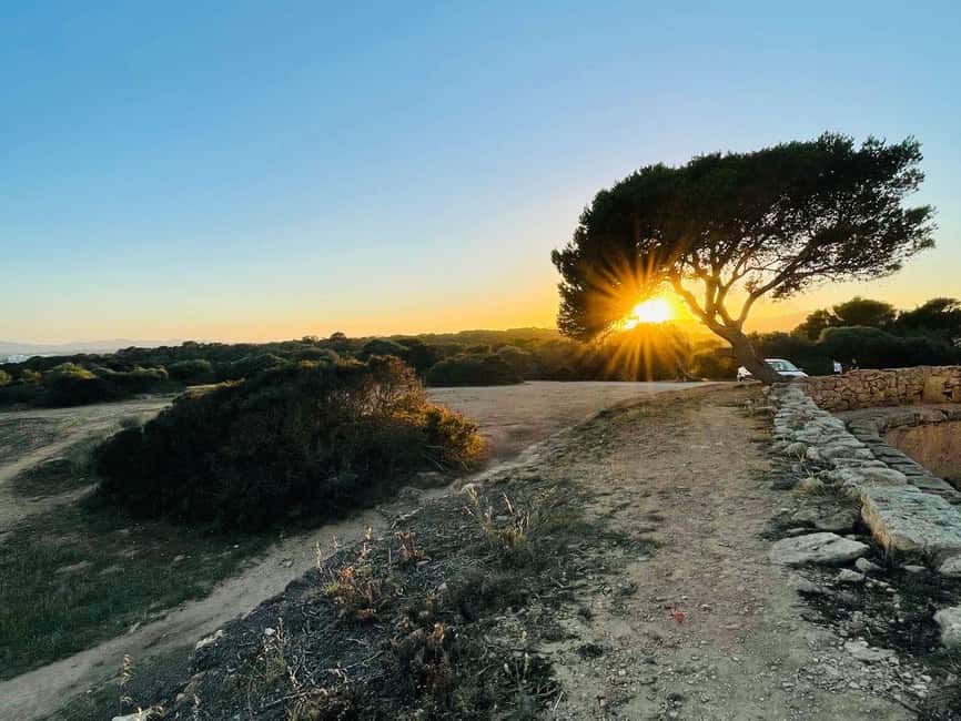 Cala Millor: real treasure hunt in natural reserve, fun walk - Who This Treasure Hunt Fits Best