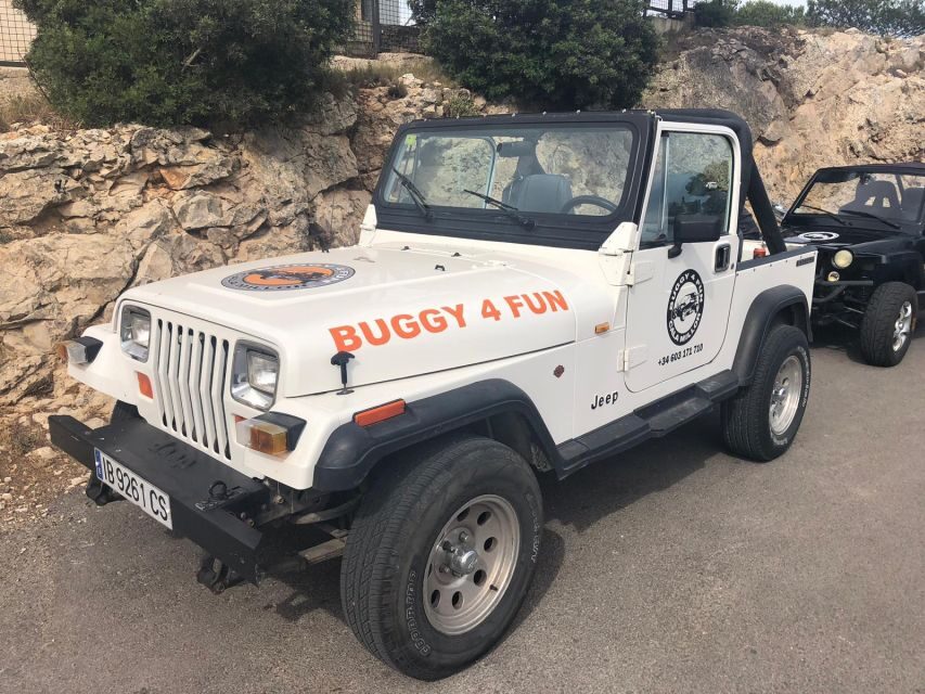 Cala Millor/Sa Coma: Guided Buggy Tour - Manual transmission and license rules: the part you must read