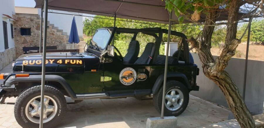 Cala Millor/Sa Coma: Guided Buggy Tour - The swim bay: one stop that actually refreshes you