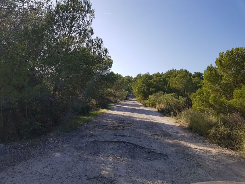 Cala Millor & Sa Coma: Jeep Touren – Natur entdecken - Cala Millor Launch Stop: Photo Time and First Views