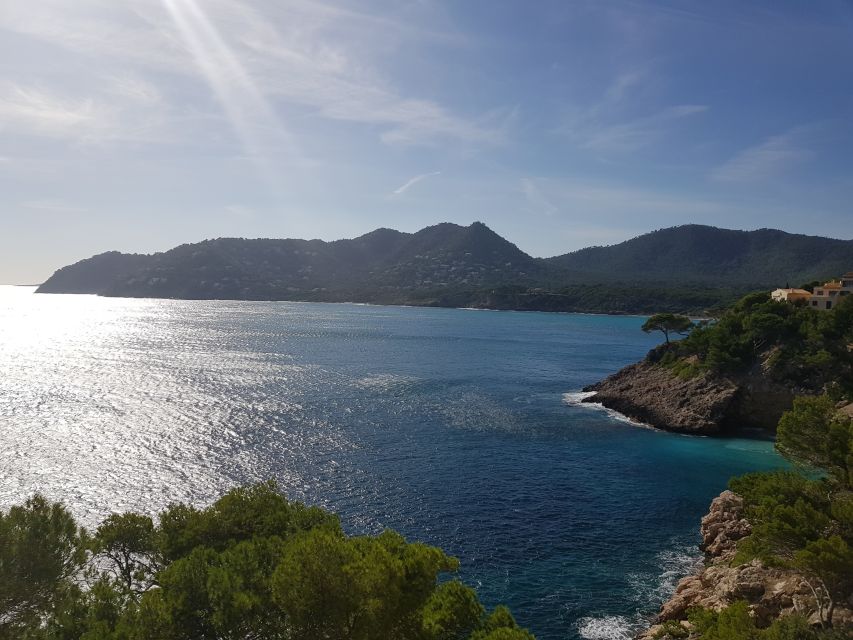 Cala Millor & Sa Coma: Jeep Touren – Natur entdecken - Cold Drinks and Small Comforts That Make Driving Days Easier