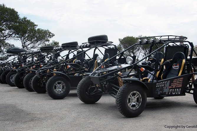 "Cala Millor & Sa Coma: TOP Buggy Tours – your mega experience!" - What’s Included for the Money (and What’s Not)