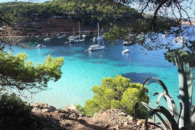 Cala Salada and Unspoiled North Beach Tour. Snorkelling and Aquarium - Aquarium Cap Blanc: worth it because it is easy and right there