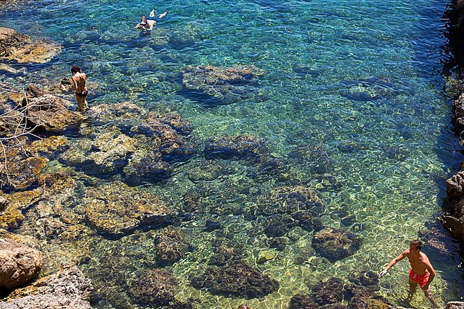 Cala Salada and Unspoiled North Beach Tour. Snorkelling and Aquarium - Cala Salada: the main event, with a restaurant you can use (or skip)