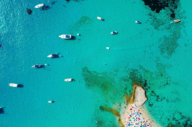 Cala Salada and Unspoiled North Beach Tour. Snorkelling and Aquarium - Beach shoes, jellyfish care, and what to pack for north-coast waters