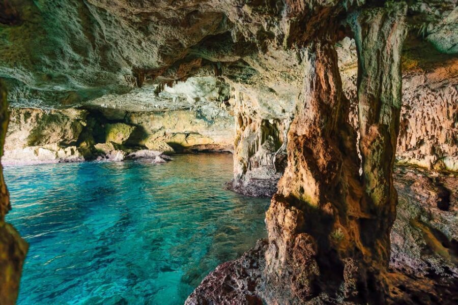 Cala Varques: Guided Sea Caves Kayak & Snorkeling Expedition - Cala Varques Snorkeling: Clear Water, Posidonia, and Real Underwater Life