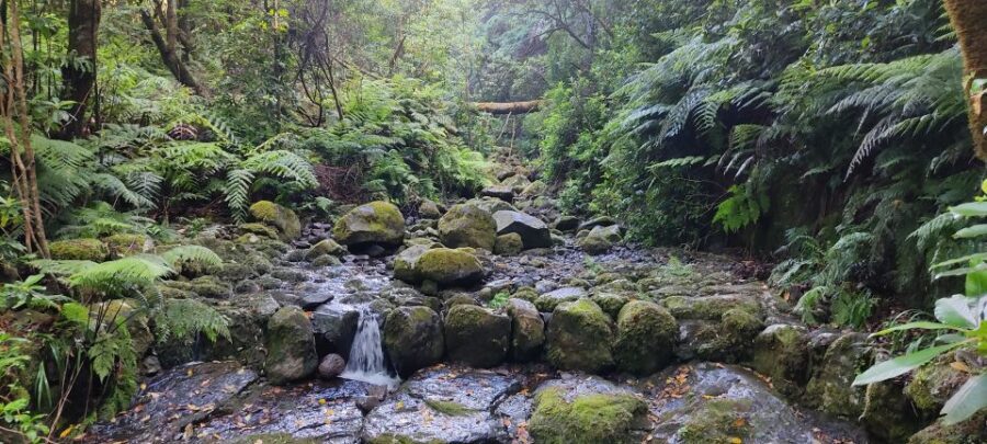 Caldeirão Verde: Queimadas PR9 Transfer and Self-Guided Hike - The route breakdown: 15 km round trip, 5.5 hours, and four tunnels