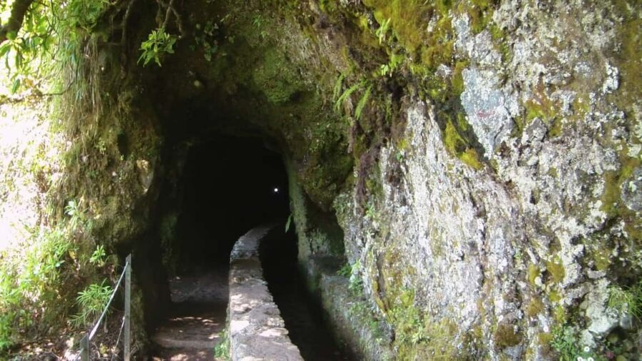 Caldeirão Verde: Queimadas PR9 Transfer and Self-Guided Hike - Waterfalls, endemic trees, and the levada feel you can’t fake
