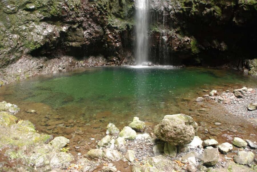 Caldeirão Verde: Queimadas PR9 Transfer and Self-Guided Hike - Timing and crowd control: go early if you hate bottlenecks