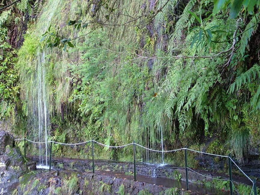 Caldeirão Verde: Queimadas PR9 Transfer and Self-Guided Hike - What it’s like underfoot: uneven trails, narrow spots, and rain gear