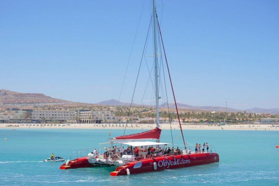 Caleta de Fuste: Catamaran Sailing Experience - Key things to know before you go