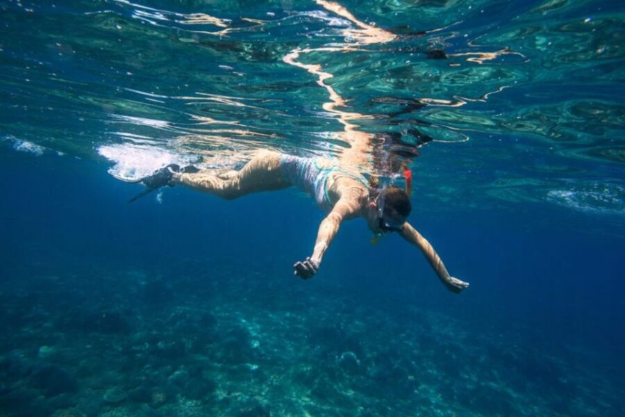 Caleta de Fuste: Catamaran Sailing Experience - Caleta de Fuste to Pozo Negro Bay: why this 4-hour sail works