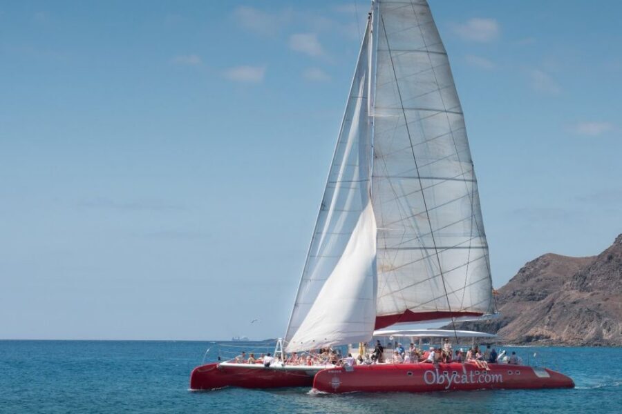 Caleta de Fuste: Catamaran Sailing Experience - The route at sea: pilot whales, dolphins, turtles, and a calmer pace