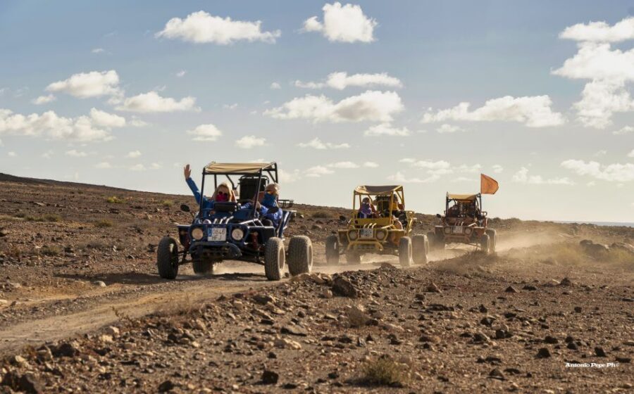 Caleta De Fuste: Guided Buggy Explorer Tour - The goat-cheese factory and tasting stop: what you actually do